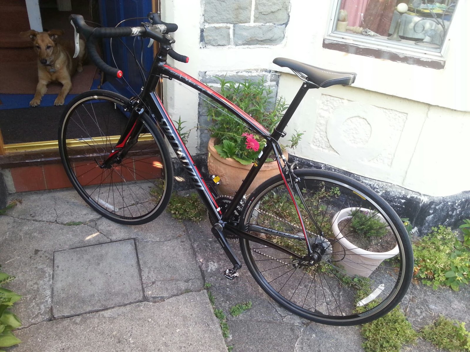 Specialized secteur discount black red